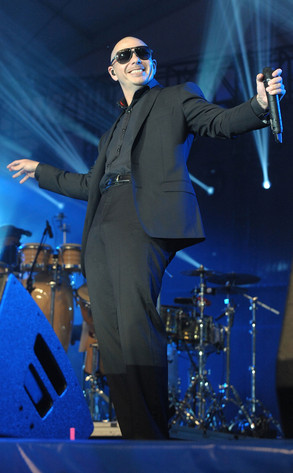 Pitbull, Pit Bull Pitbull, Pit Bull